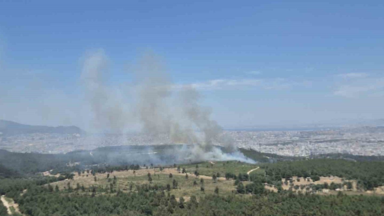 İzmir’de yeni orman yangını: Buca’ya havadan ve karadan müdahale