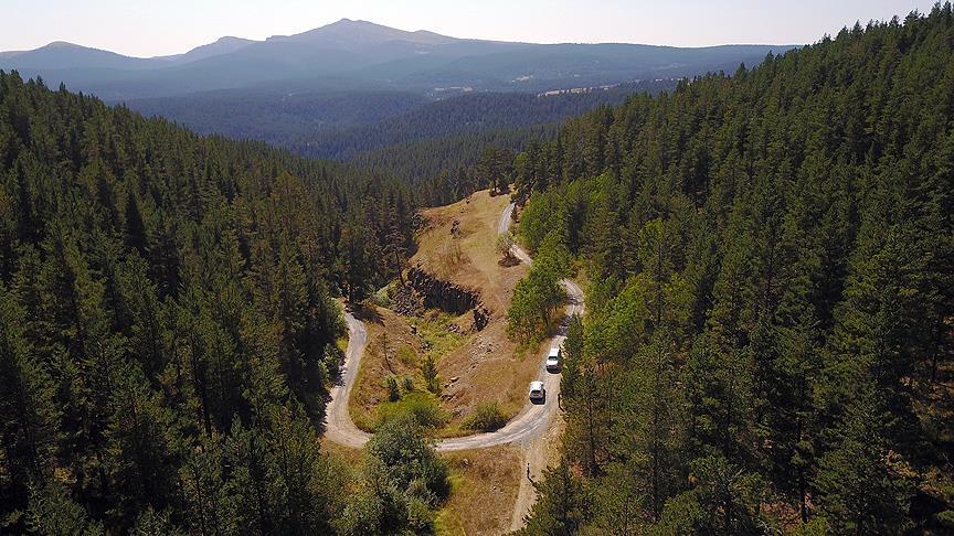Kars'ta ormanlık alanlara girmek yasaklandı