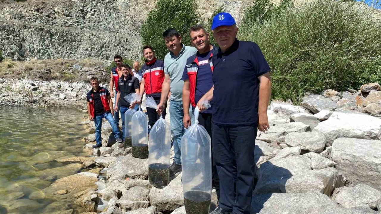Tavşanlı’da 8 gölete binlerce yavru sazan bırakıldı