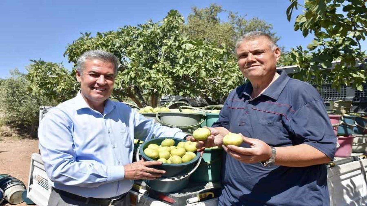 Başkan Erol’dan Taze İncir Festivaline davet