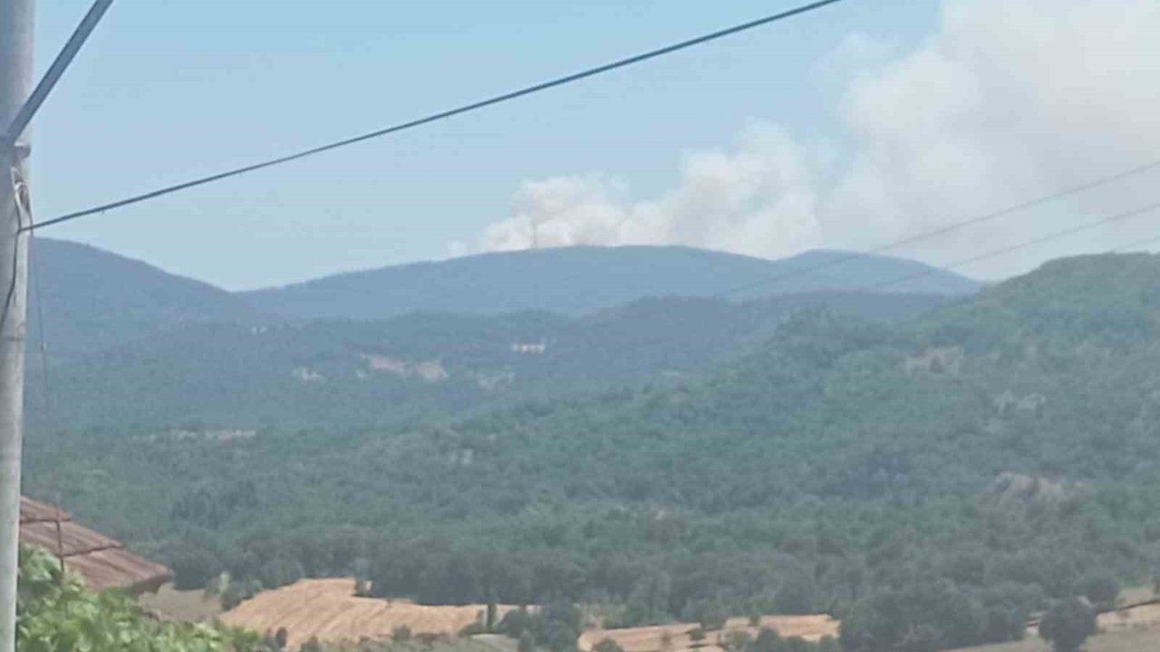 Bursa’da orman yangını: Havadan ve karadan müdahale ediliyor