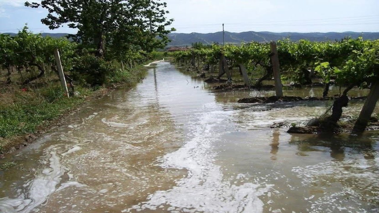 Sarıgöl Ovası’nda üzüme can suyu