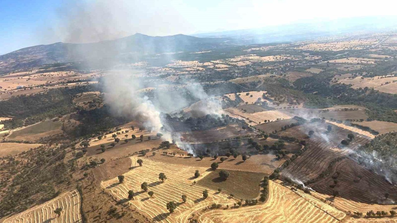 Kütahya’daki yangında 60 hektar ormanlık ve 50 hektarlık ziraat alanı zarar gördü