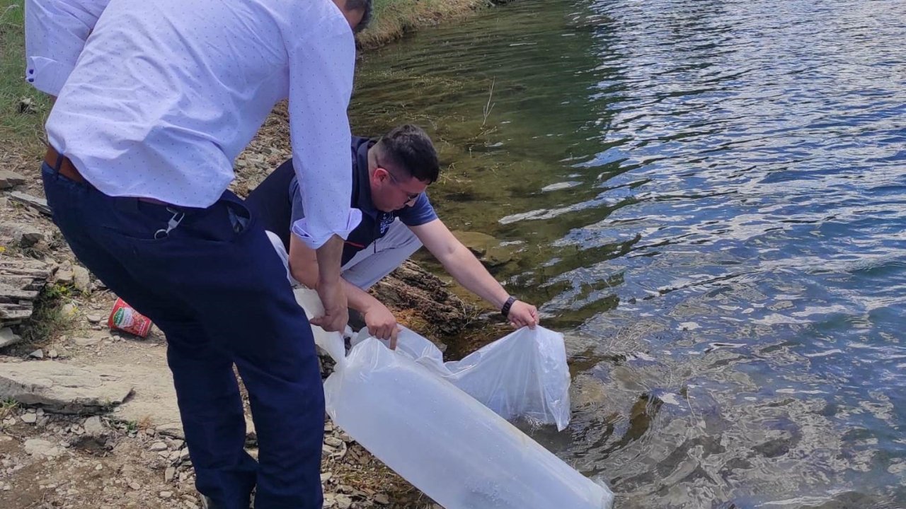 Emet’te baraj ve göletlere 40 bin 700 aynalı sazan balığı yavrusu bırakıldı