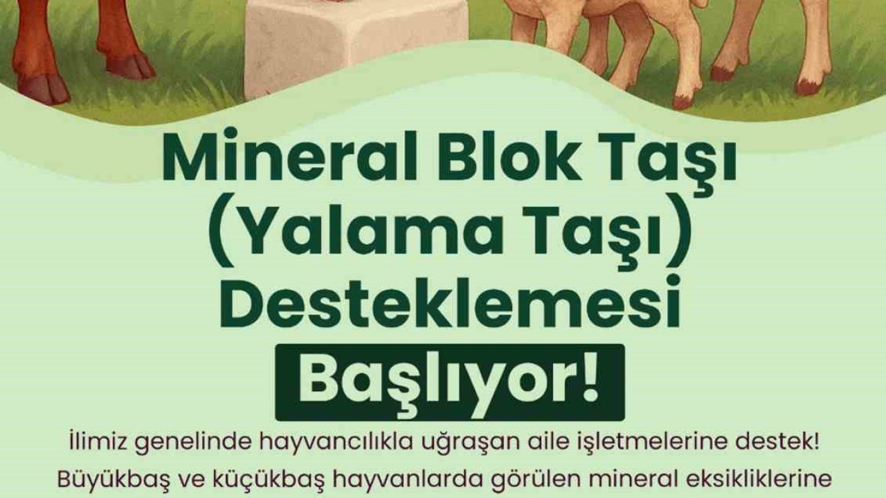 Büyükşehir’den hayvanlara yalama taşı desteği