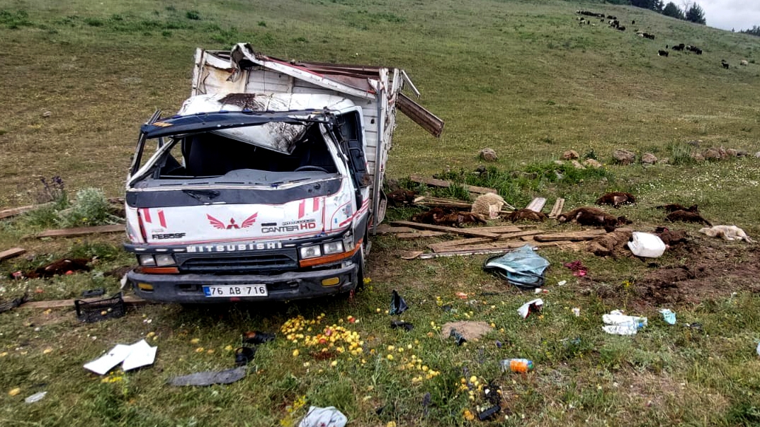 Sarıkamış’ta kamyonet devrildi