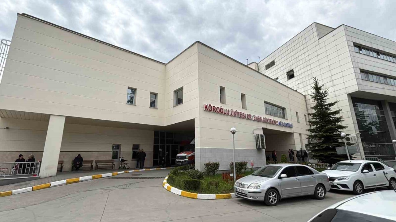 Bolu’da kene ısırması sonucu 77 yaşındaki kadın hayatını kaybetti