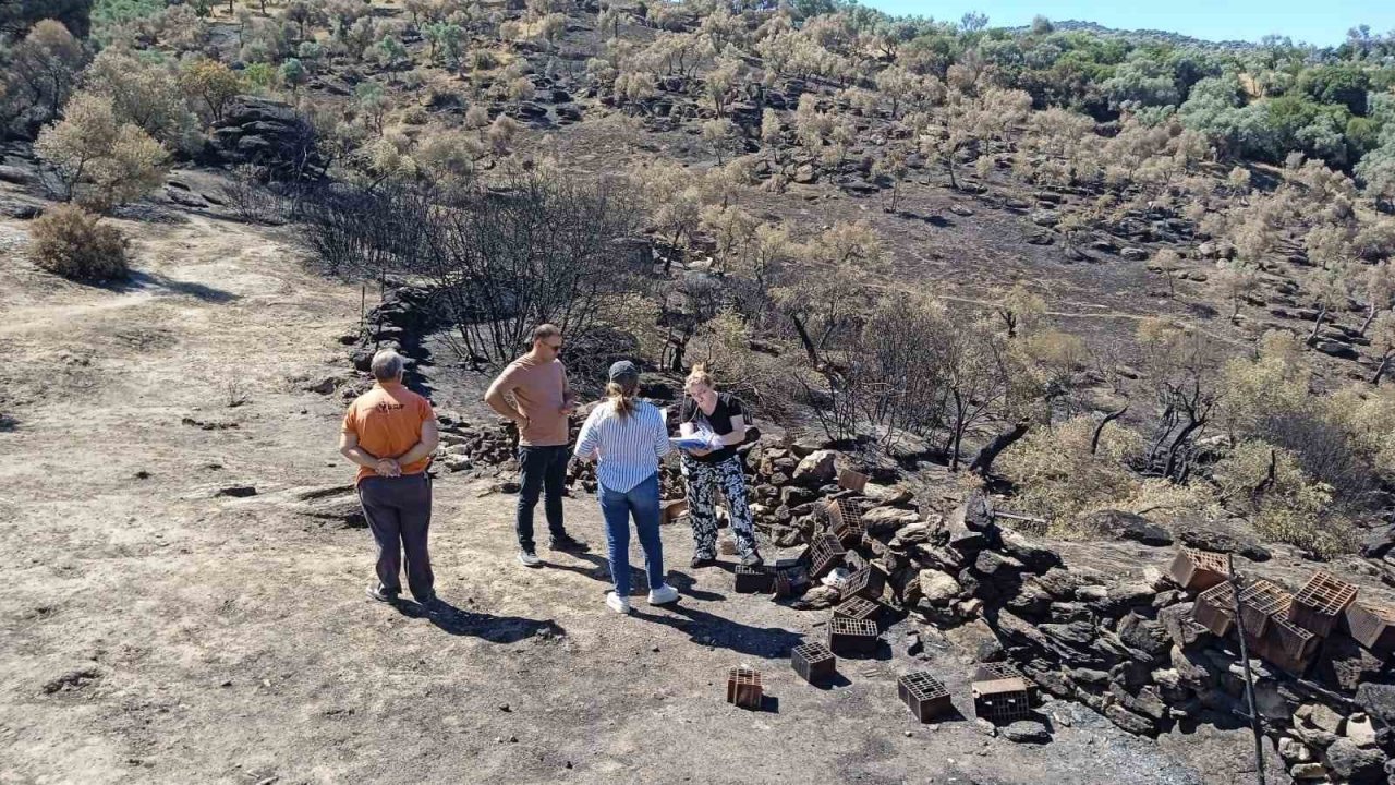 Yangın bölgesinde zarar tespiti yapıldı