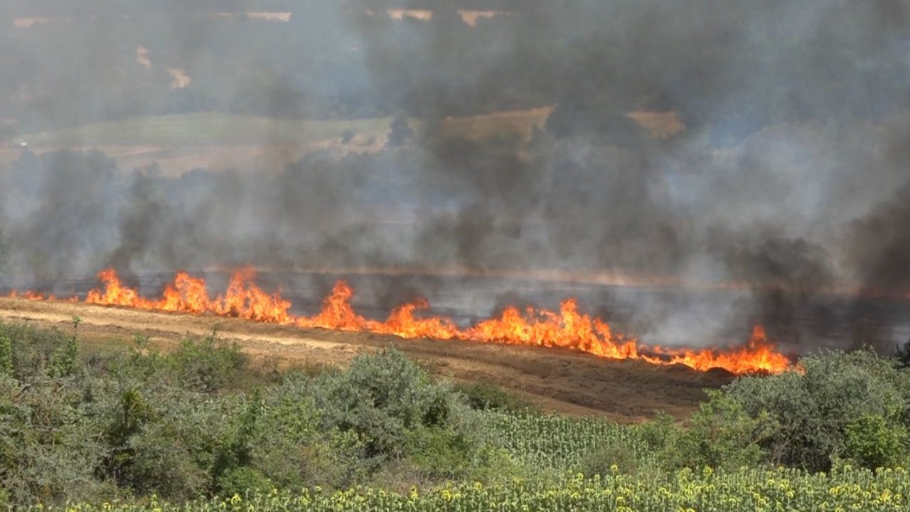 Kırklareli’nde yangın: 500 dekar tarım arazisi ve ağaçlık alan zarar gördü