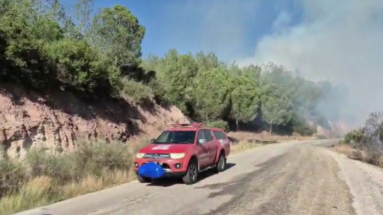 Adana’da orman yangını