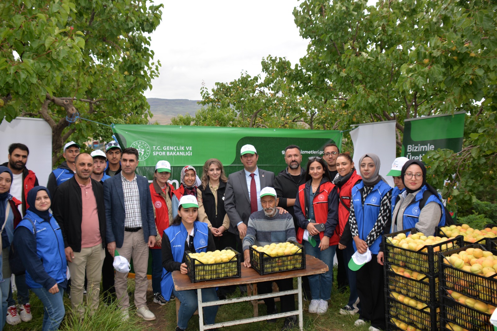 Kağızman’da Gençlerden Örnek Davranış, Kayısı Hasadı Gerçekleştirildi