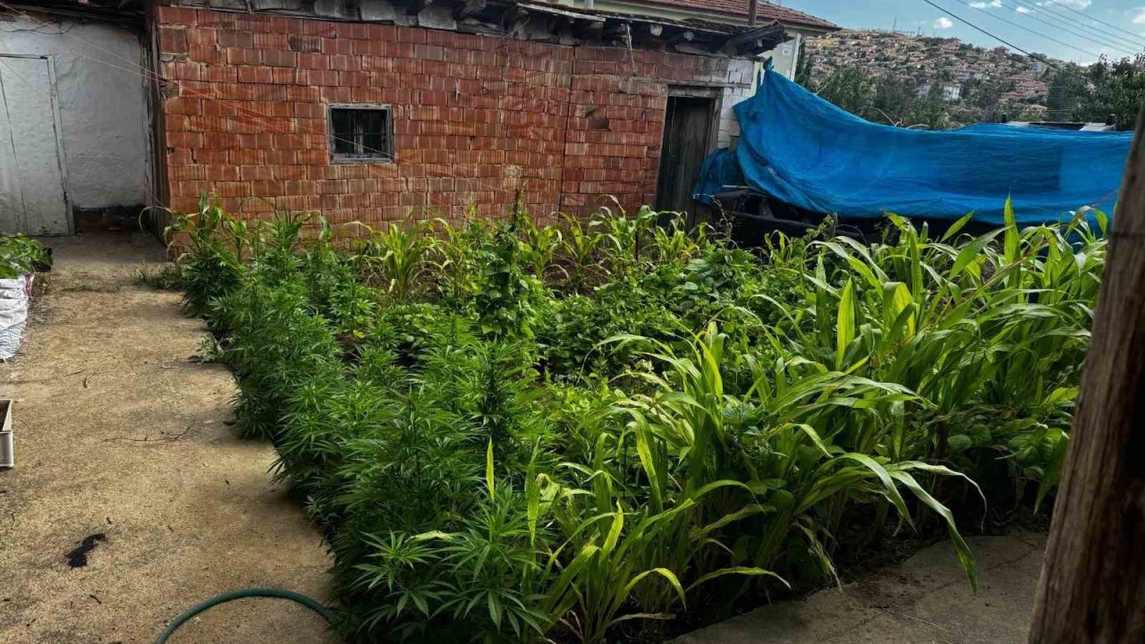 Kırıkkale’de uyuşturucu operasyonu: Aynı aileden 3 şüpheliye gözaltı