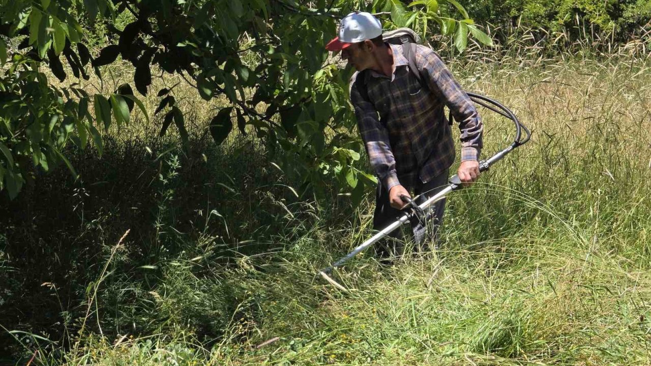 Gümüşhane’de ot biçme geleneği değişti, tırpanlar müzeye kalktı