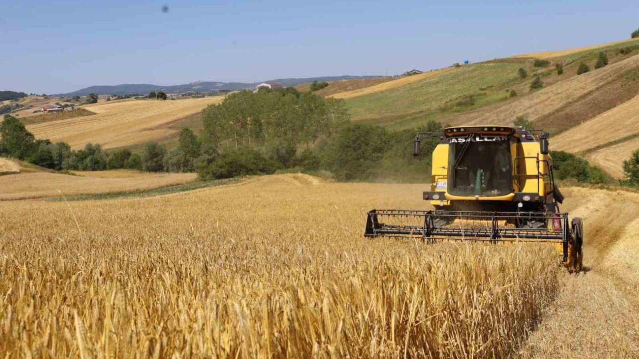 Arpa hasadı bereketli başladı