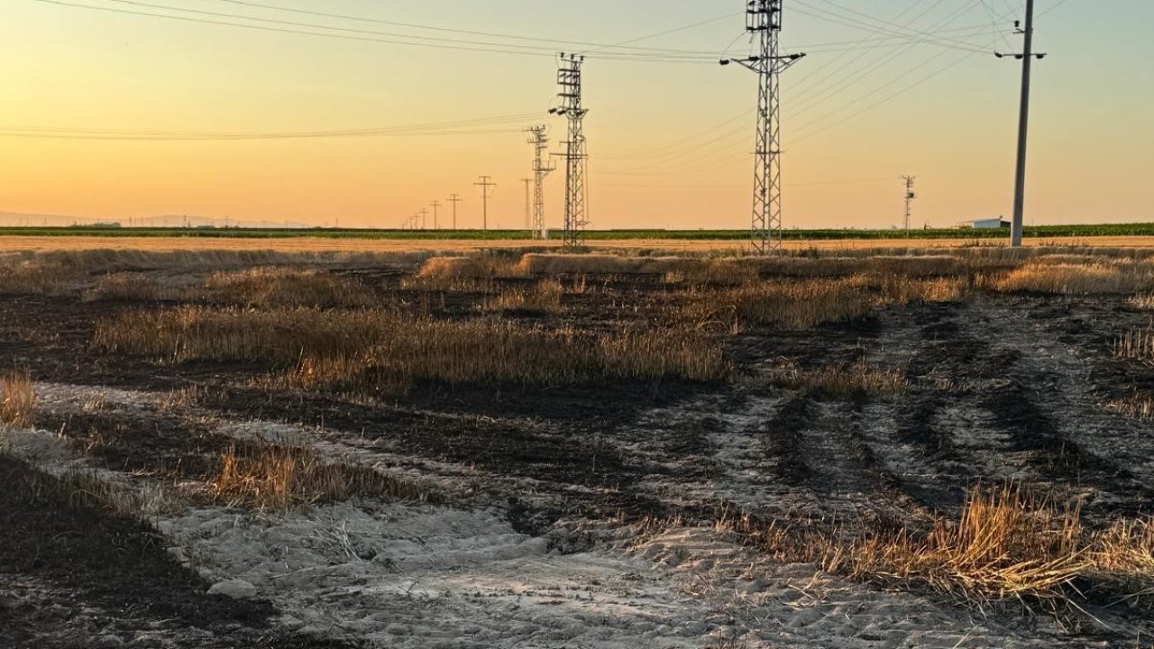 Karapınar’da buğday tarlasında yangın