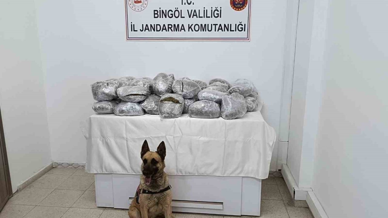 Bingöl’de 49 kilo esrar ele geçirildi