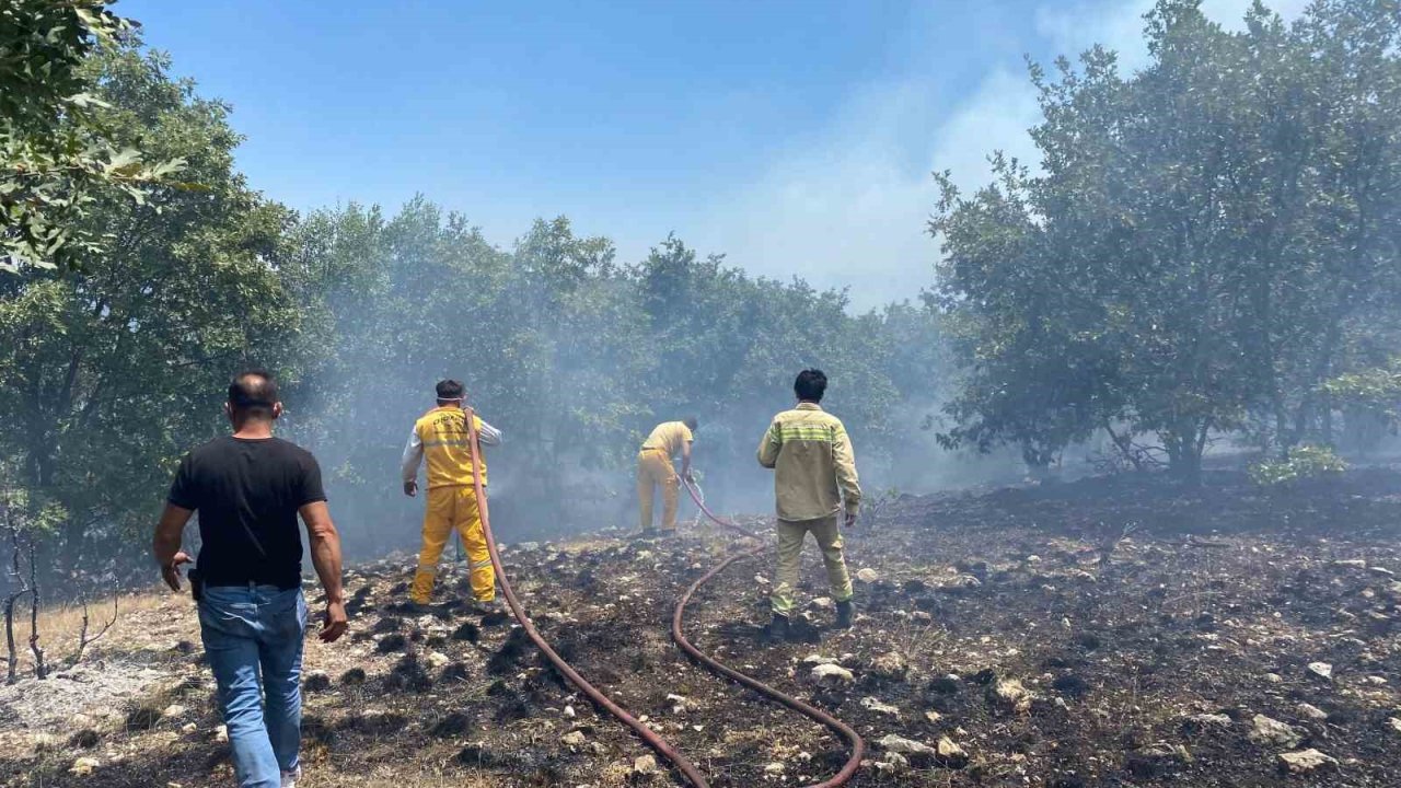 Seyitgazi’de orman yangınına ekiplerin müdahalesi başladı