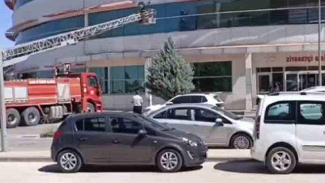 Mardin’de hastanenin dış cephesinde mahsur kalan kedi kurtarıldı