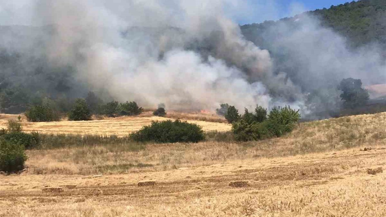 Yenişehir’de buğday tarlasında çıkan yangın ormana sıçradı