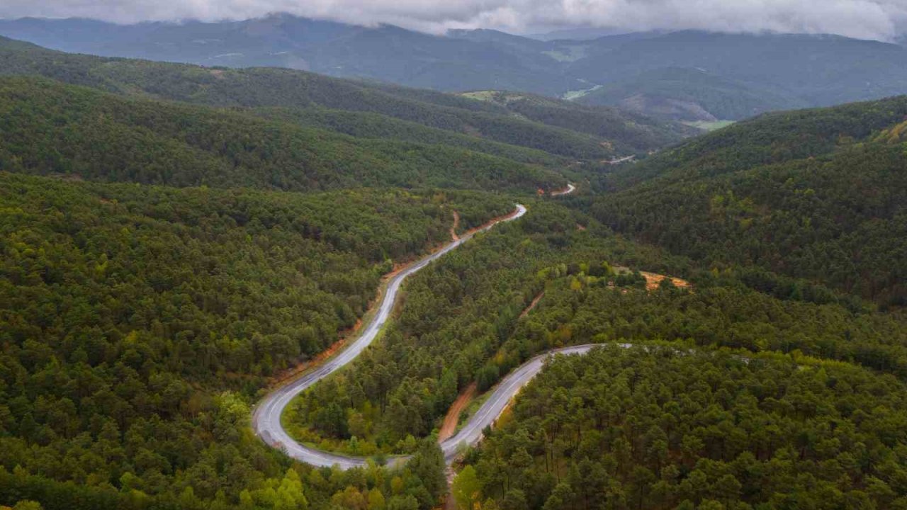 Akdağmadeni Belediye Başkanı Dr. Nezih Yalçın’dan orman yangını riskine karşı uyarı