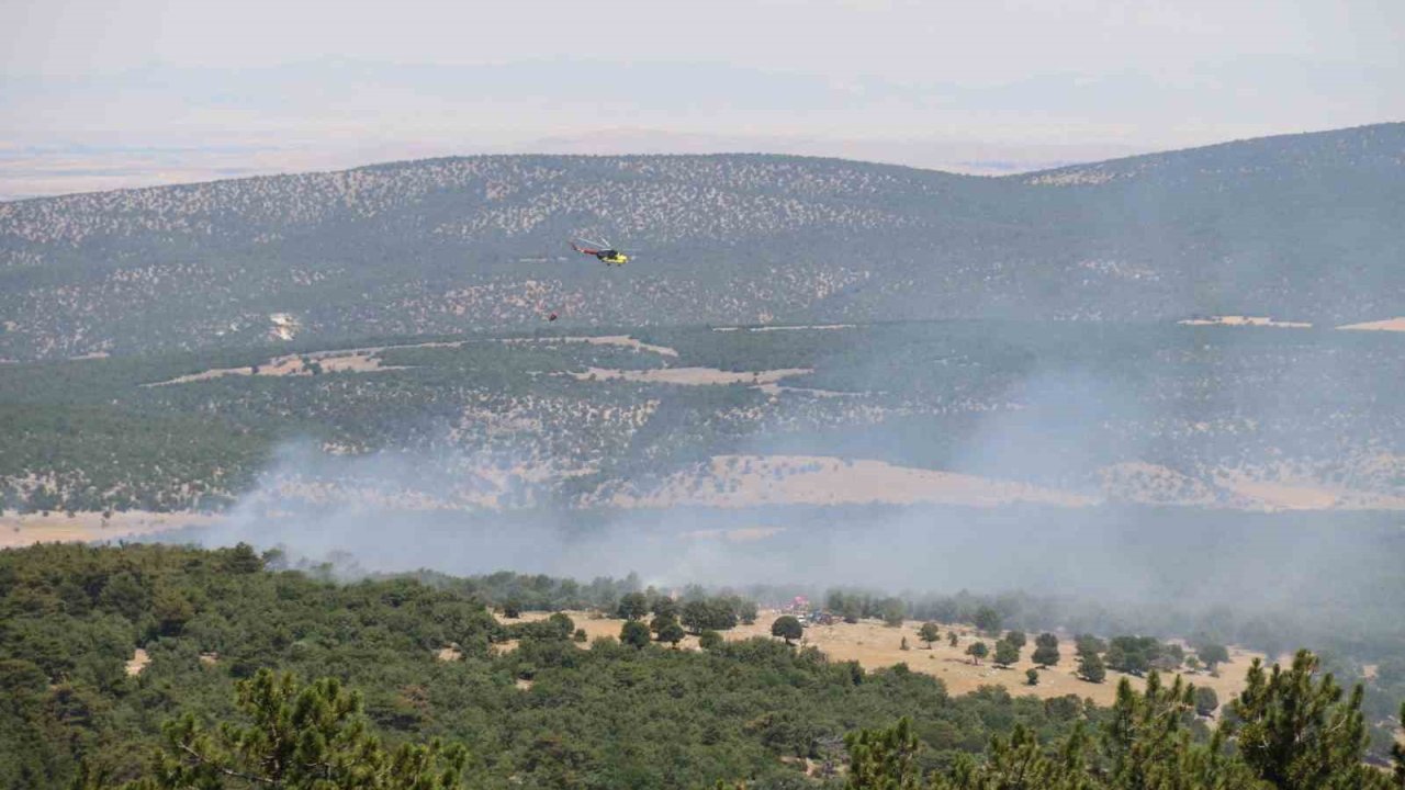 Seyitgazi’de orman yangınıyla ilgili açıklama