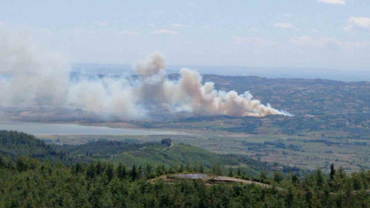 Kahramanmaraş’ta orman yangını
