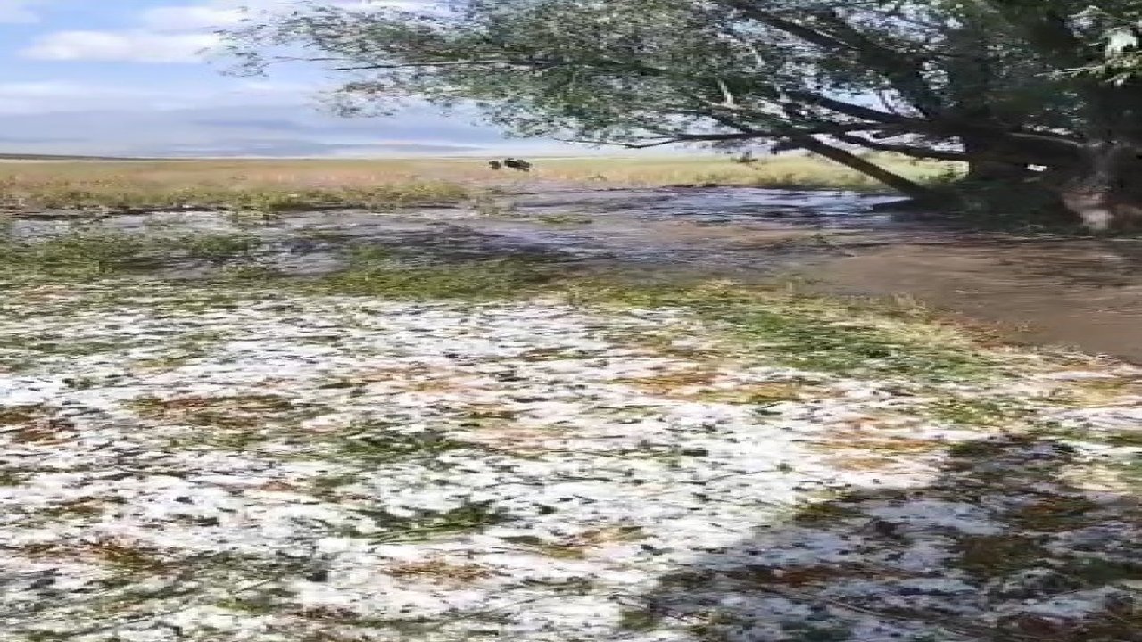 Sarıkamış’ta sağanak yağış sele neden oldu: Evler ve tarım arazileri sular altında kaldı