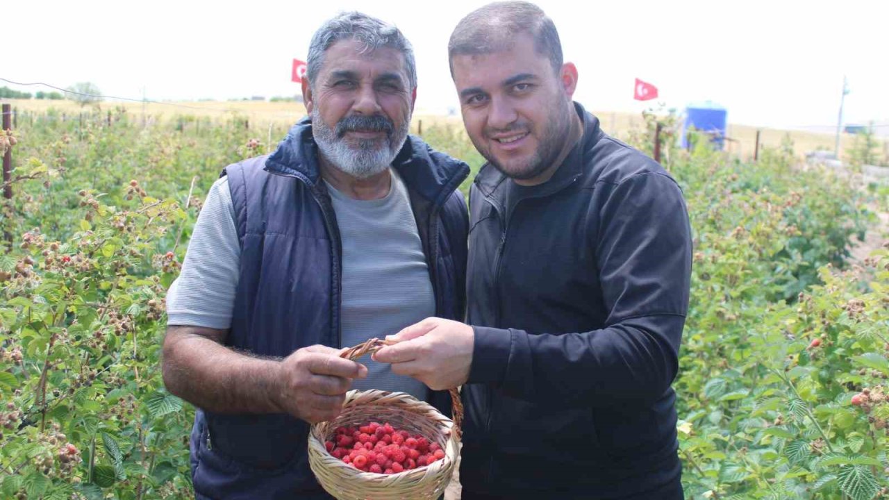 Hobi olarak başladığı işte talebe yetişemiyor