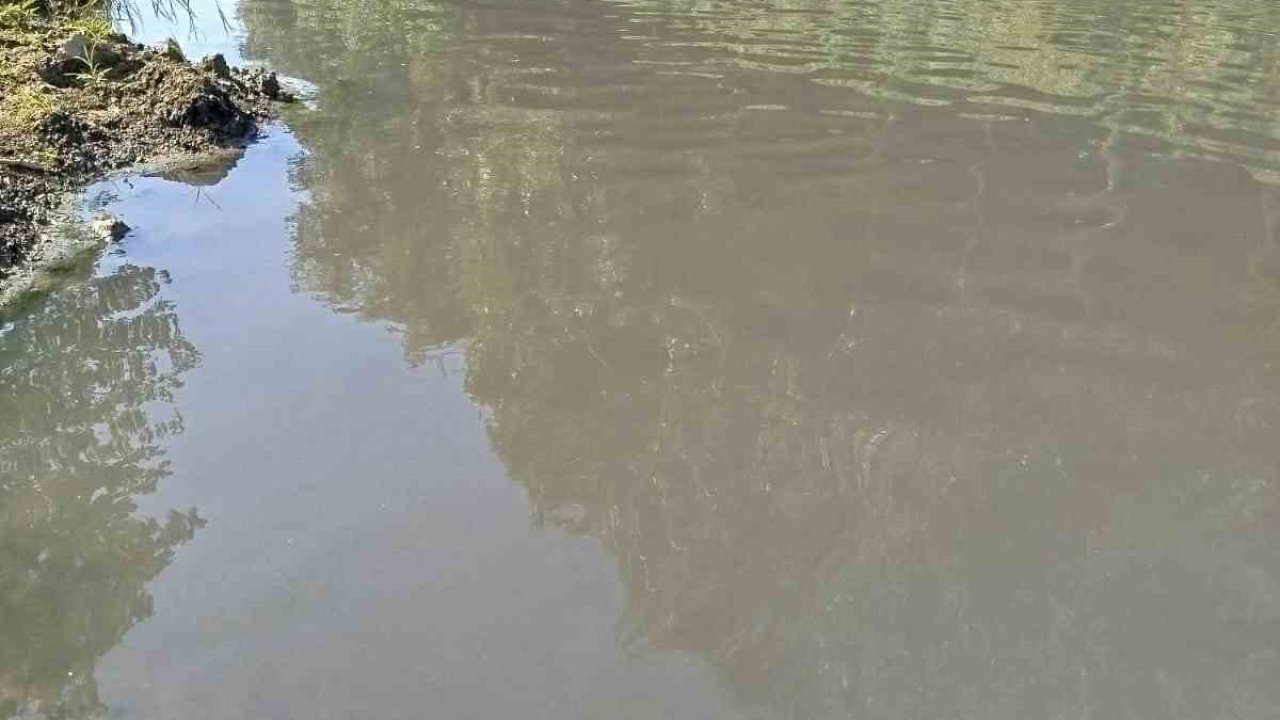 Mudurnu Deresi’nde endişe veren kirlilik