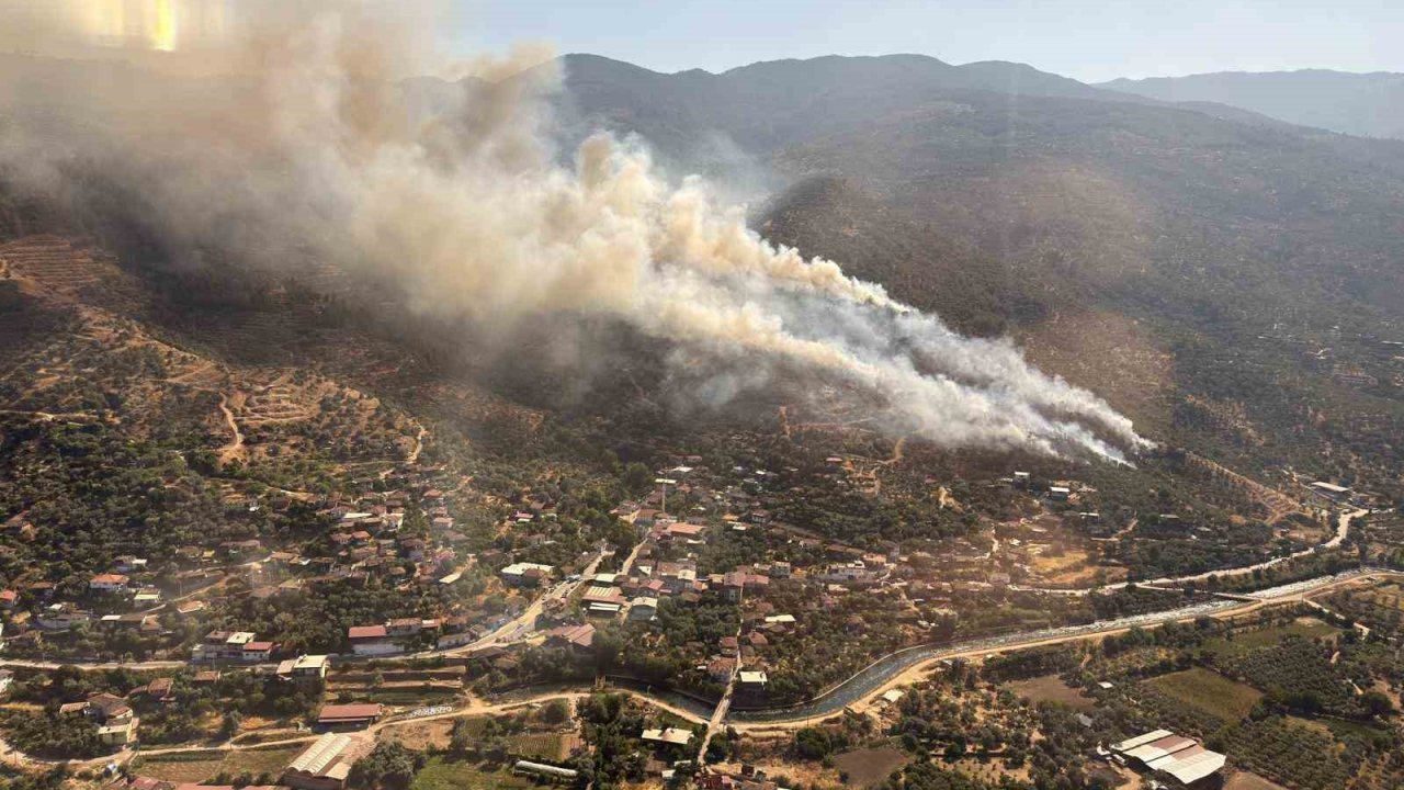 Aydın’da orman yangını