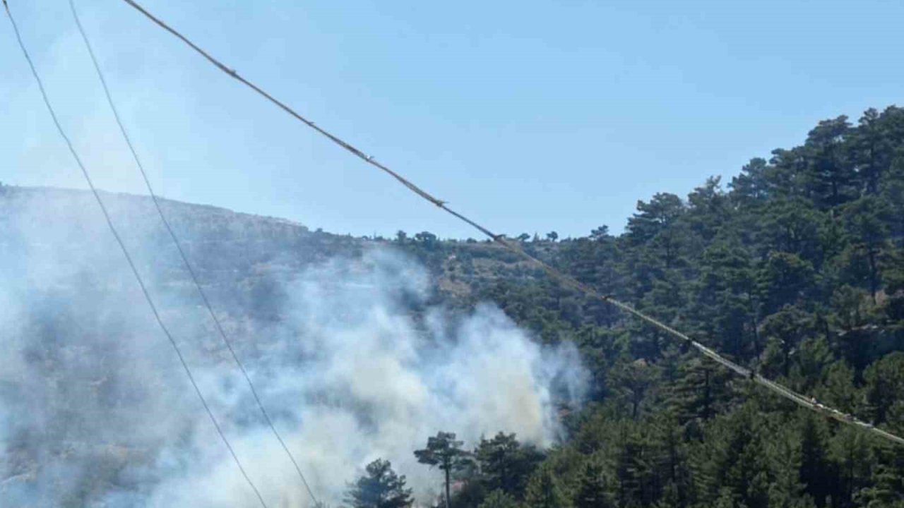 Mersin’deki orman yangını kontrol altına alındı