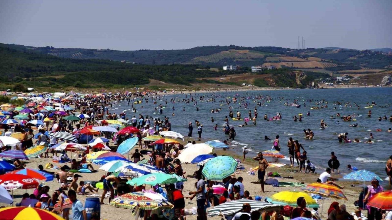 Bursa sahillerinden sevindiren haber