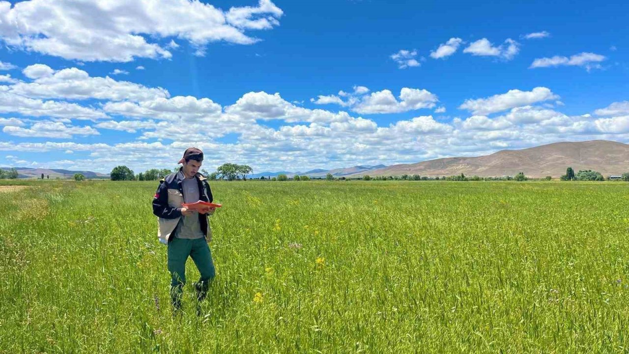Bayburt’ta yem bitkileri ekim alanı tespit çalışmaları devam ediyor