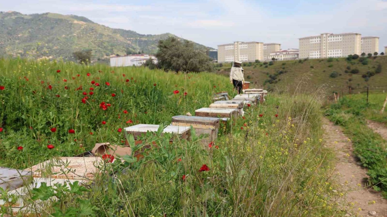 Sultanhisar İlçe Tarım ve Orman Müdürlüğü arıcıları uyardı