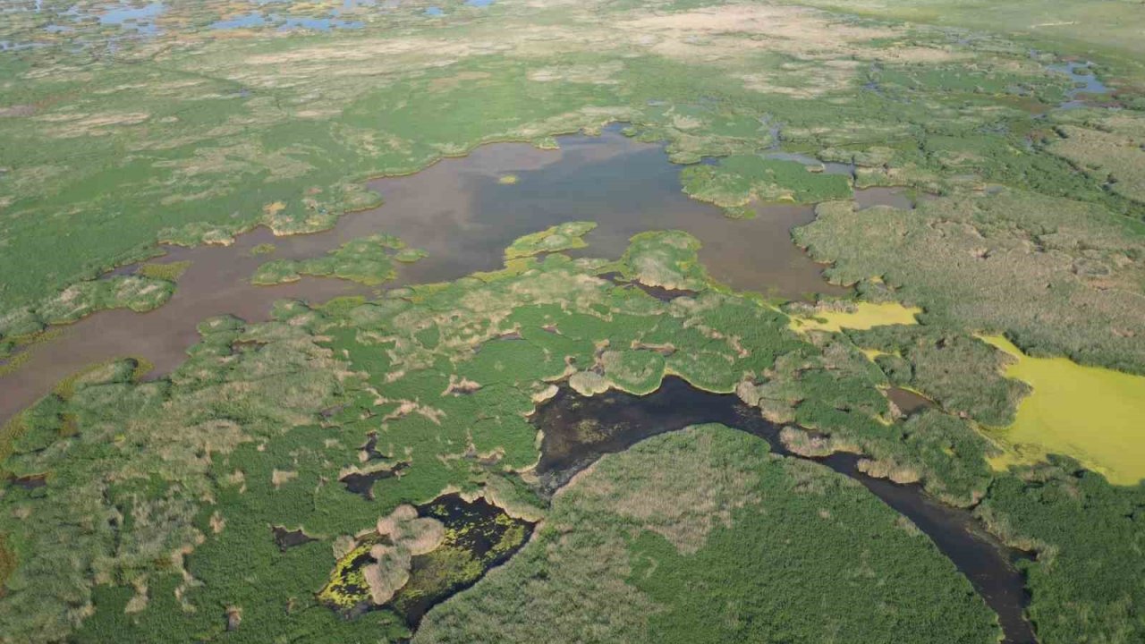 Motosikletli doğaseverler Eber Gölü için bir araya geldi