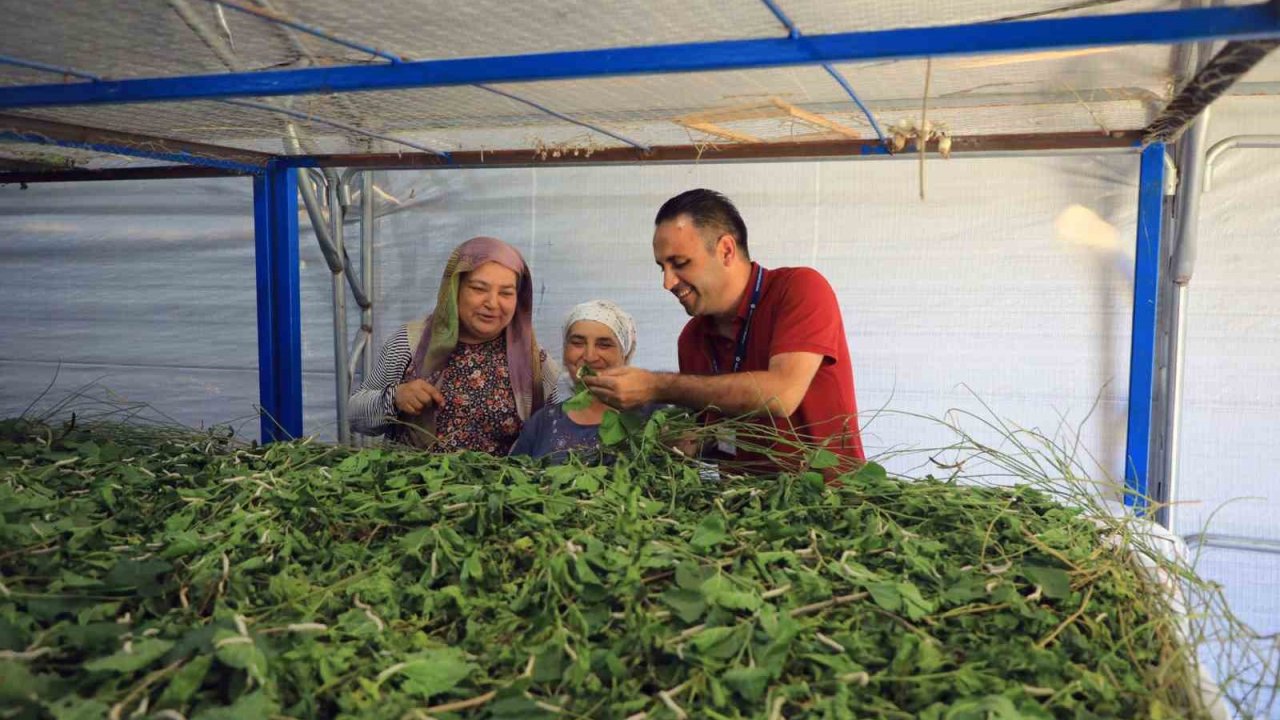 Muğla Büyükşehir’den ipekböcekçiliğine tam destek