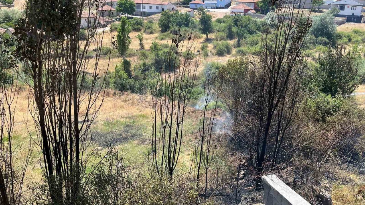 Kuru otları temizlemek isterken yangın çıkarttı, 2 bin 953 lira para cezası verildi