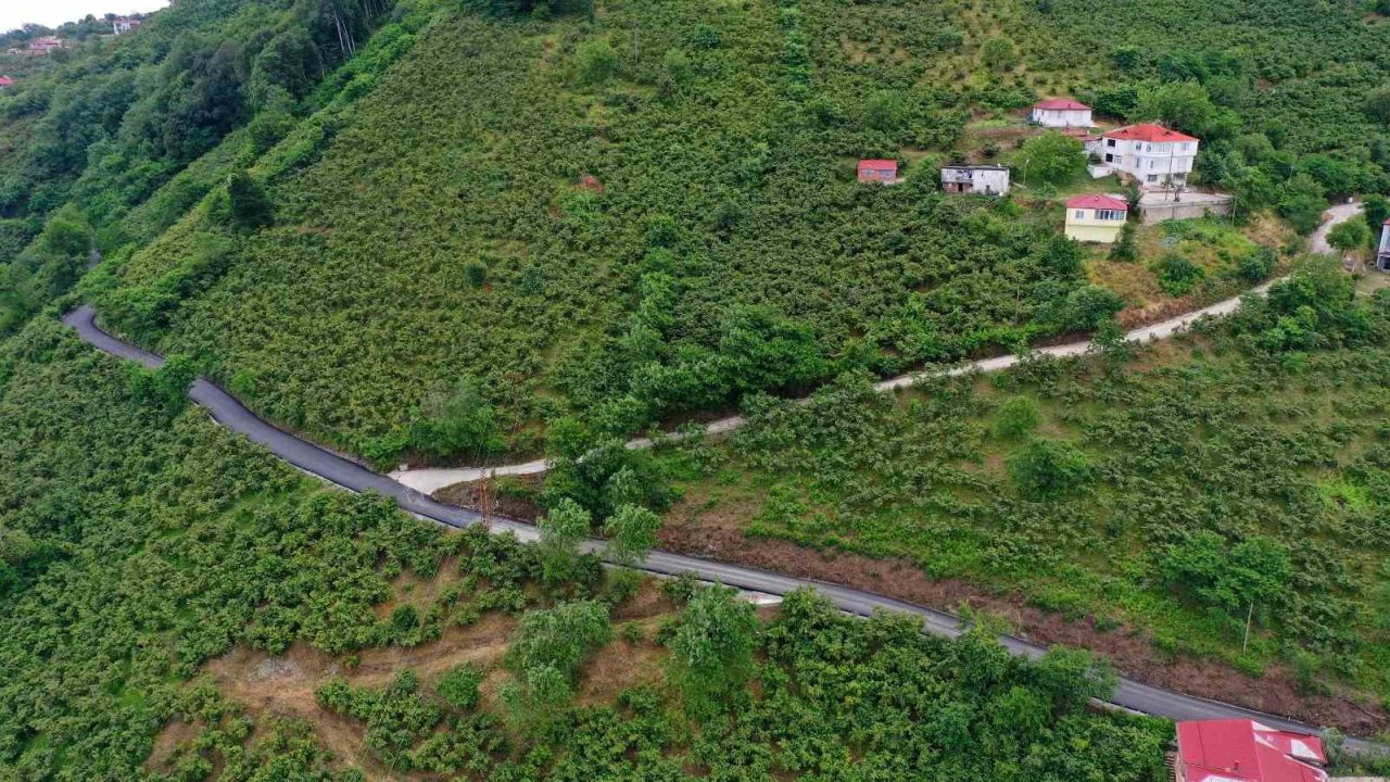 Ordu’nun seyir terasının yolunda sıcak asfalt çalışması