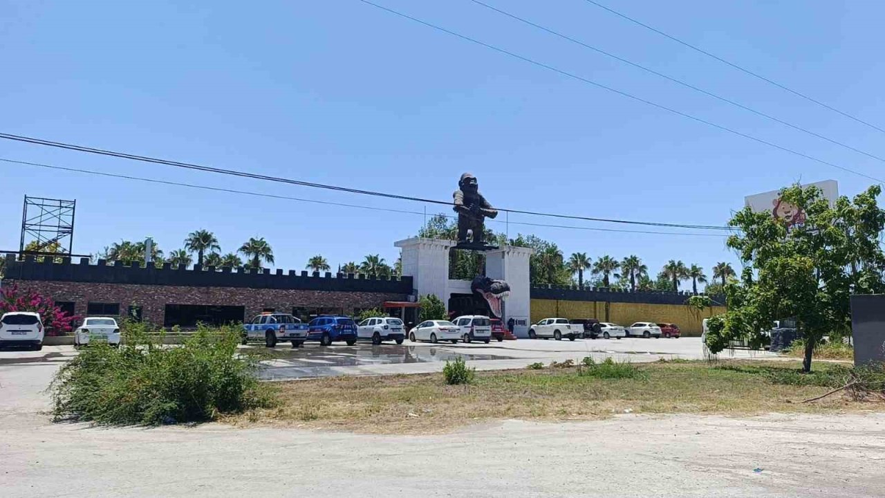 Aslanın kaçtığı hayvanat bahçesi yapılacak denetime kadar mühürlendi