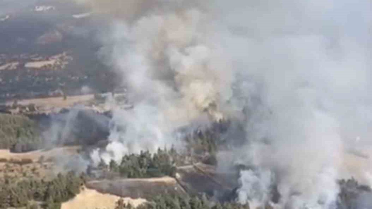 Balıkesir’de orman yangını