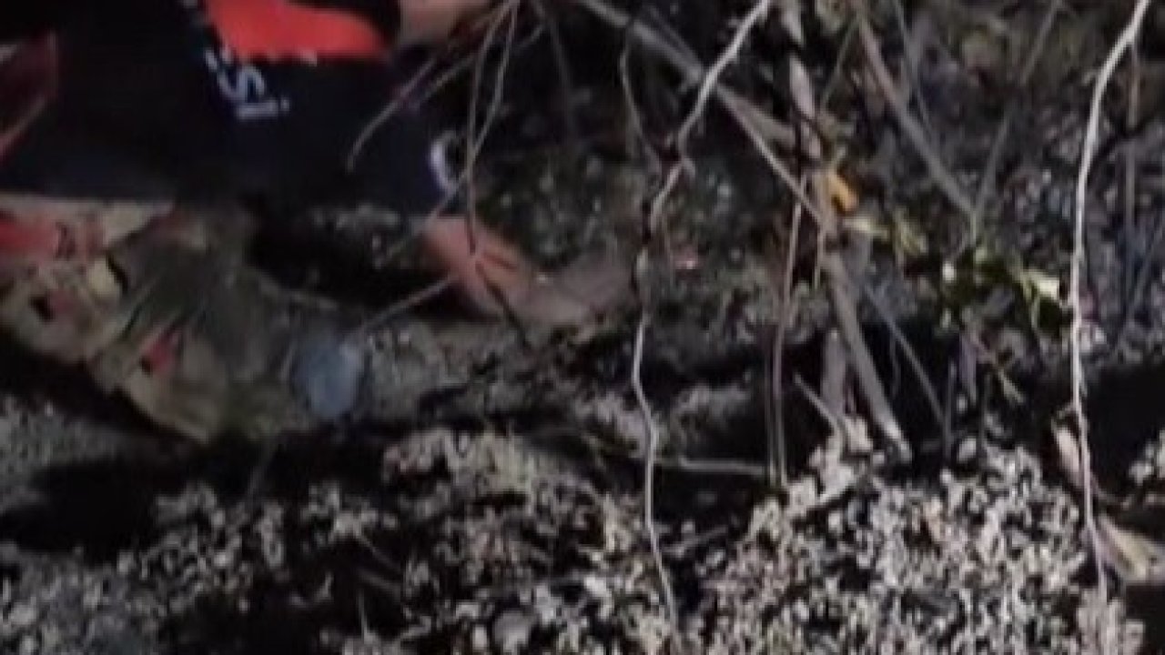 Hatay’da çıkan orman yangını kısa sürede kontrol altına alındı