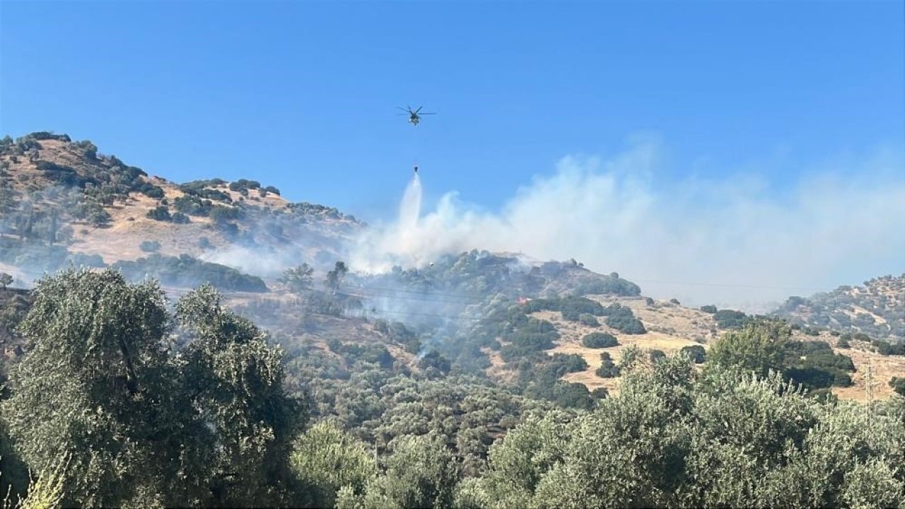 Aydın’daki yangında 2 kişi gözaltına alındı
