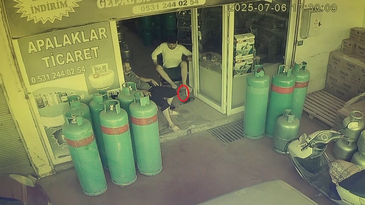 Dükkana giren yılan, esnafı sokağa fırlattı