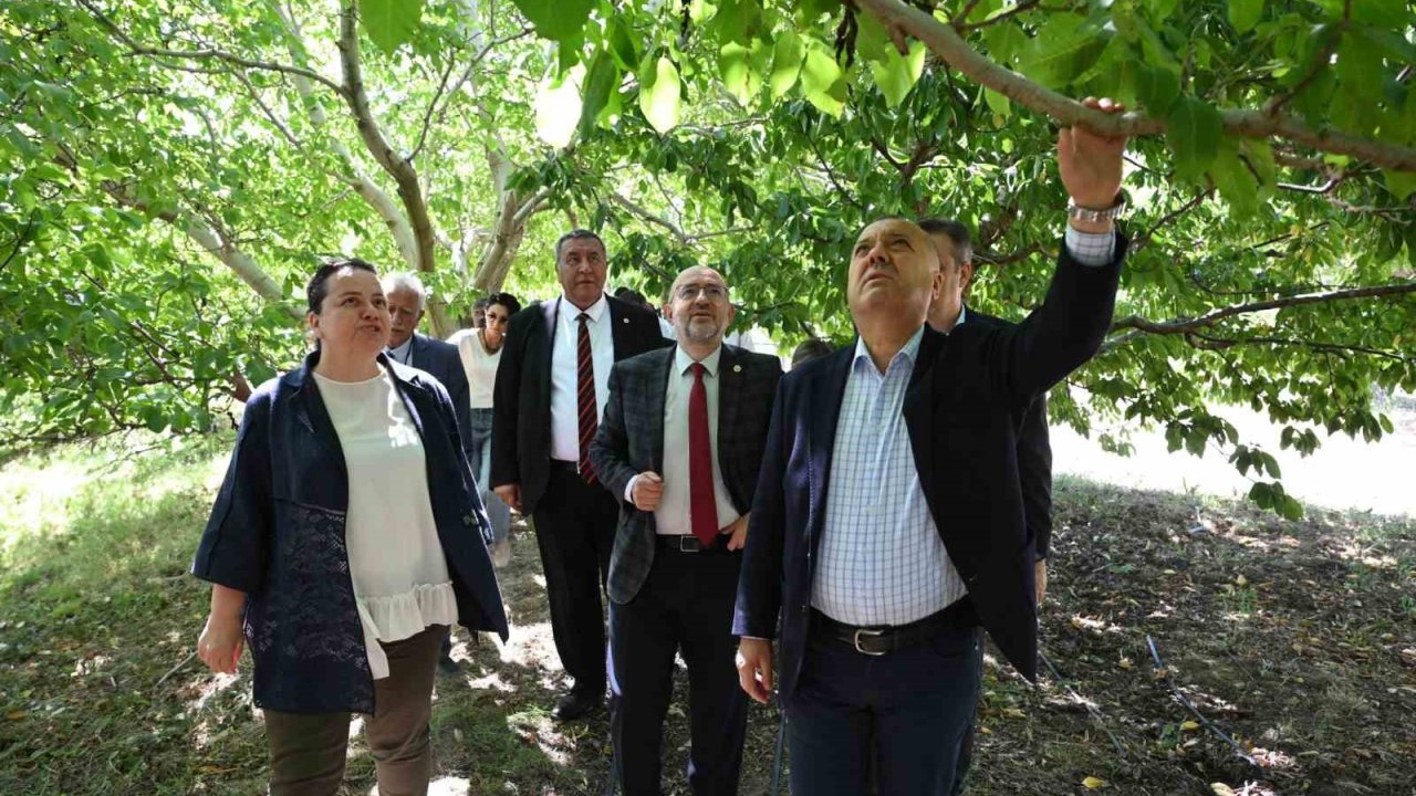 TBMM Zirai Don Araştırma Komisyonu Çivril’de meyve bahçelerini inceledi