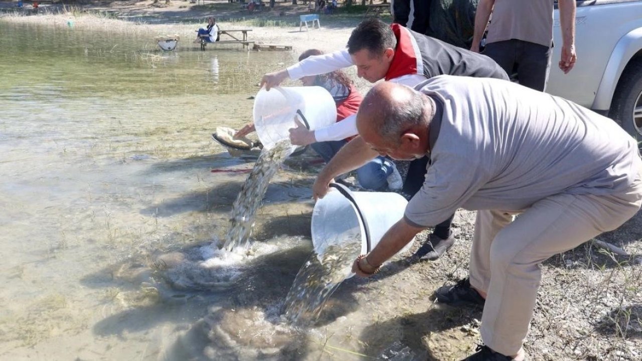 Nevşehir’de 856 Bin yavru sazan balığı sularla buluştu