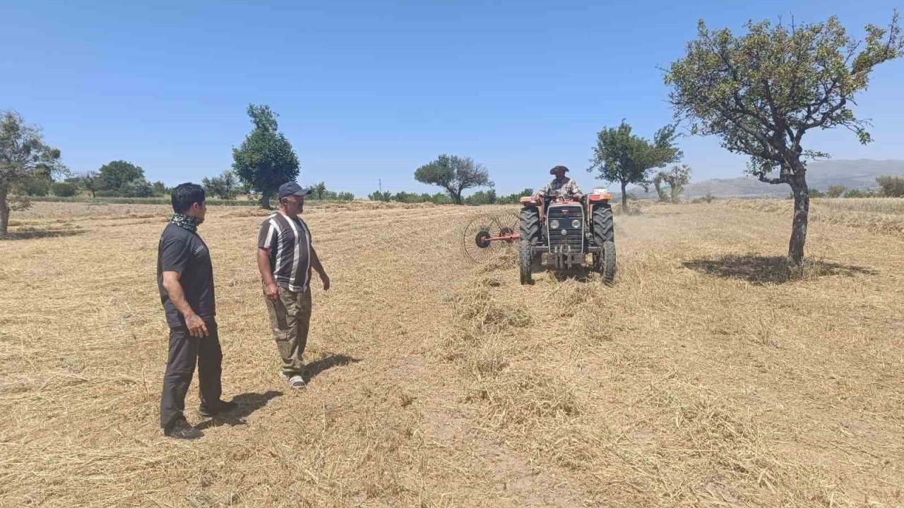 Beyşehir’de hibe destekli ekilen yem bitkilerinde hasat sürüyor