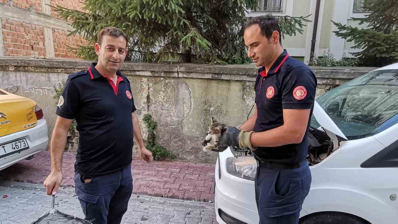 İtfaiye ekiplerinden yavru kedi kurtarma operasyonu