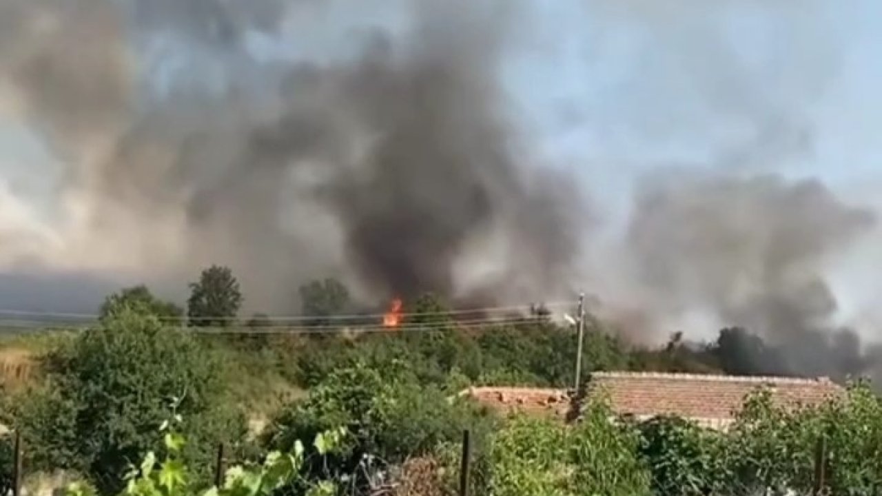 Yerleşim yerine yaklaşan alevler korkuttu