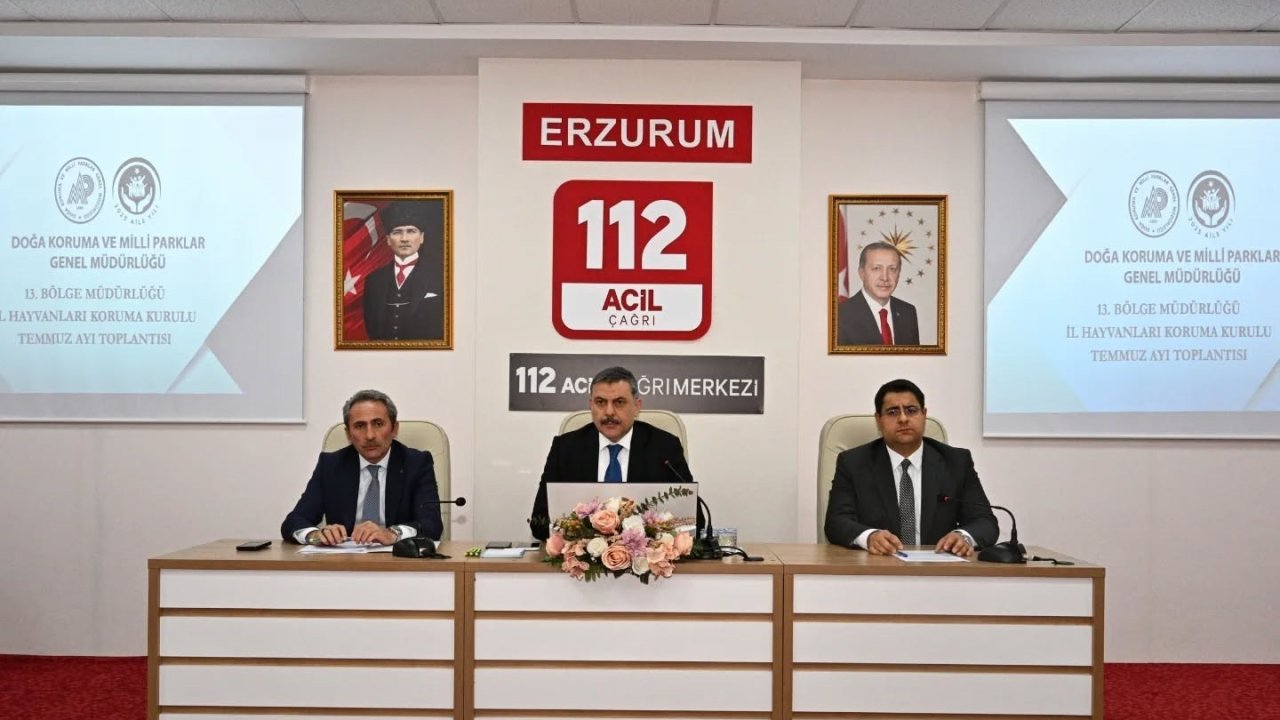 Sokak hayvanları mercek altında