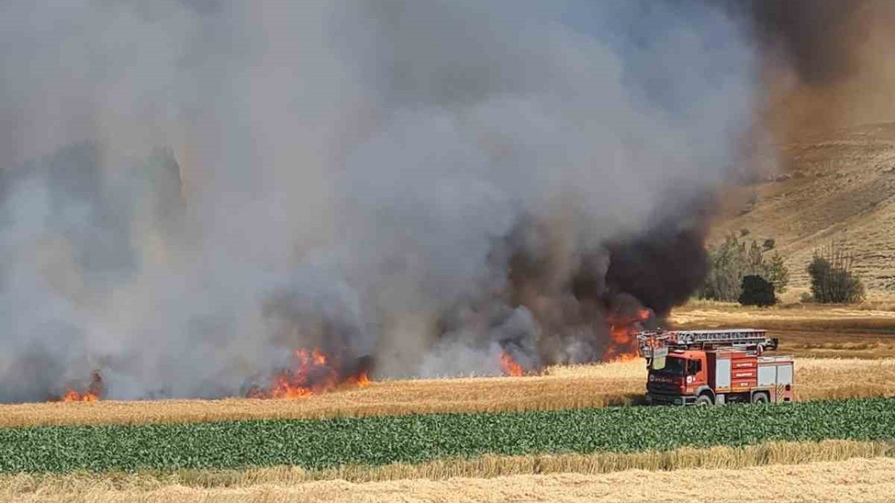 Kütahya’daki tarla yangınında yaklaşık 800 dekarlık hububat ekili alan kül oldu